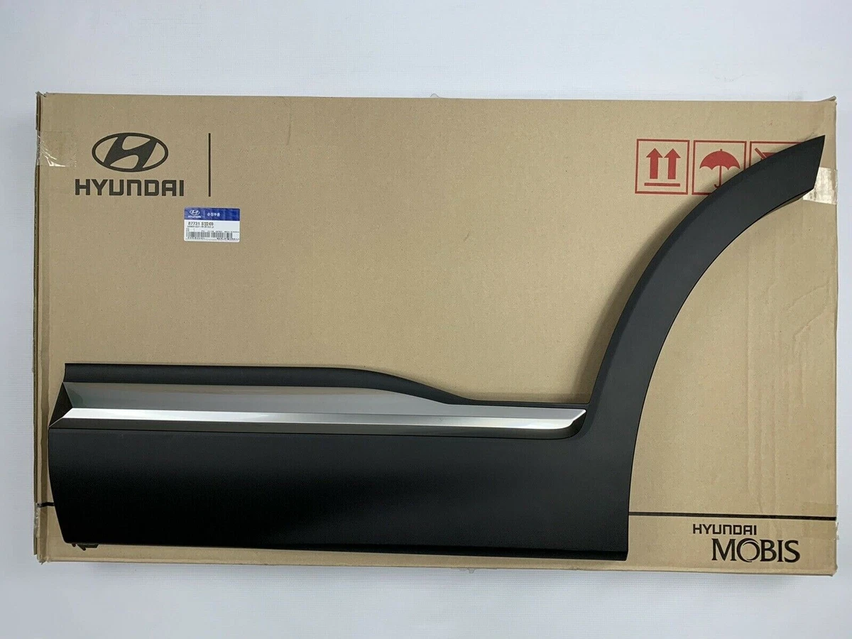 Rear Door Lower Molding 2021-2023 Santa Fe Left Driver Side 