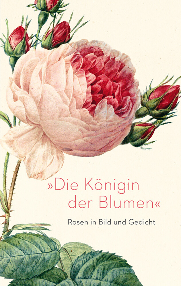 Thumbnail - Eva Hoffmeier | »die Königin Der Blumen« | Buch | Deutsch (2022) | 128