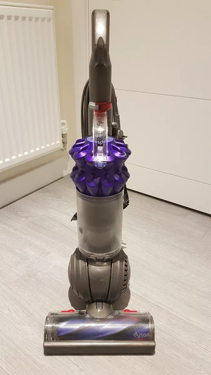 Dyson discount animal hepa