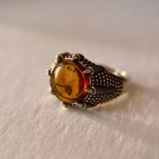 SNAIL in amber ring fossil / adjustable silver 925 / 99 million year old healing
