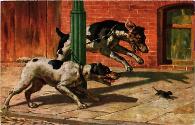 PC CPA DOGS, TWO DOGS CHASING A BLACK MOUSE VINTAGE POSTCARD (b3560)