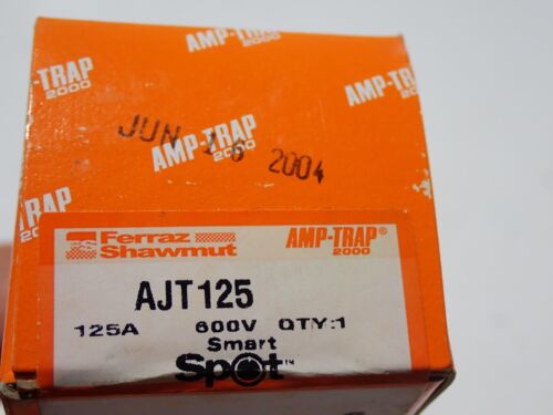 AJT125 FERRAZ SHAWMUT 600 VOLT AC 500 VOLT DC 125 AMP - Foto 2 di 2