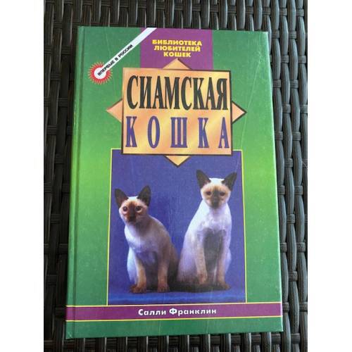Сиамская кошка - Bild 1 von 1