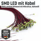 Bild 7 von 12
