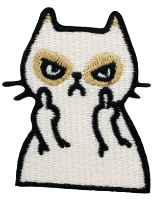 Premium Photo | Young Woman In Straw Hat Showing Middle Finger In Black Lace Glove Fuck Off Sign 1048944 12623792 - Foto 11