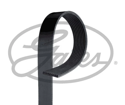 V-Ribbed Belt, 1893397 1661954 1661949 | eBay