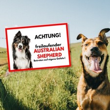 Warnschild 'Australian Shepherd Hund Im Garten' – Aluminium, 30,5x20cm, Wetterfest (A4 Format)