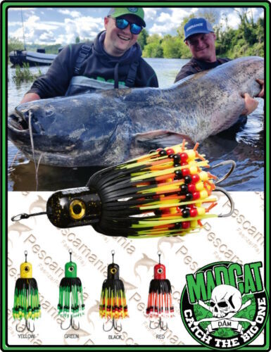 Madcat® CLONK TEASER Gr.200 Bleikopf Vertical Jigging Wels - Bild 1 von 9