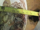 Foto 3 di 4