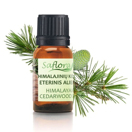 Aceites Esenciales 100% Auténticos y Puros x 10 ml | TERAPÉUTICOS Y DE GRADO ALIMENTICIO - Imagen 11 de 51
