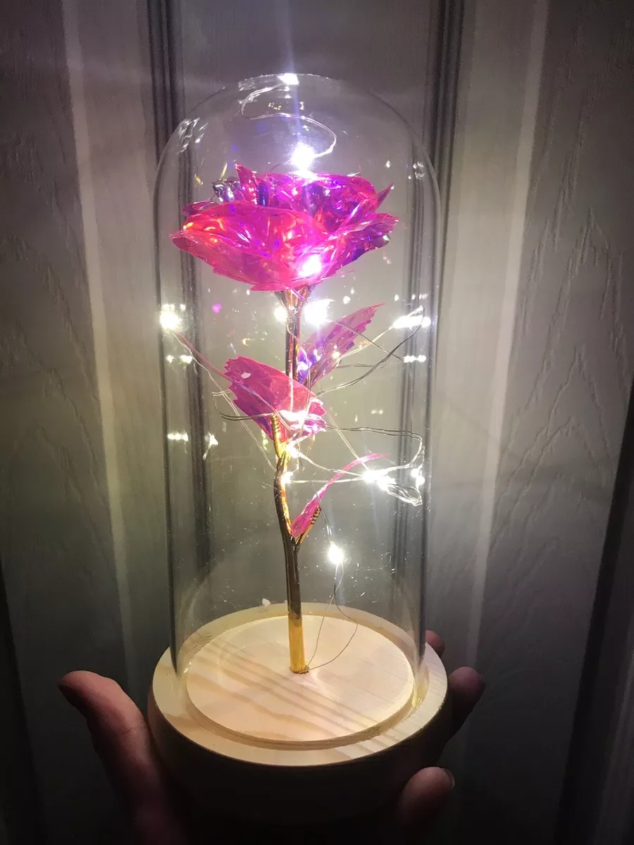 Rose of love light up deals