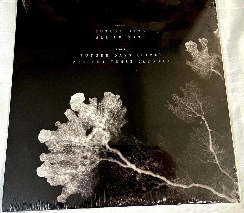 Pearl Jam - The Last Of Us - Ten Club Exclusive Color EP Vinyl LP Vedder NEW - Image 2 of 2