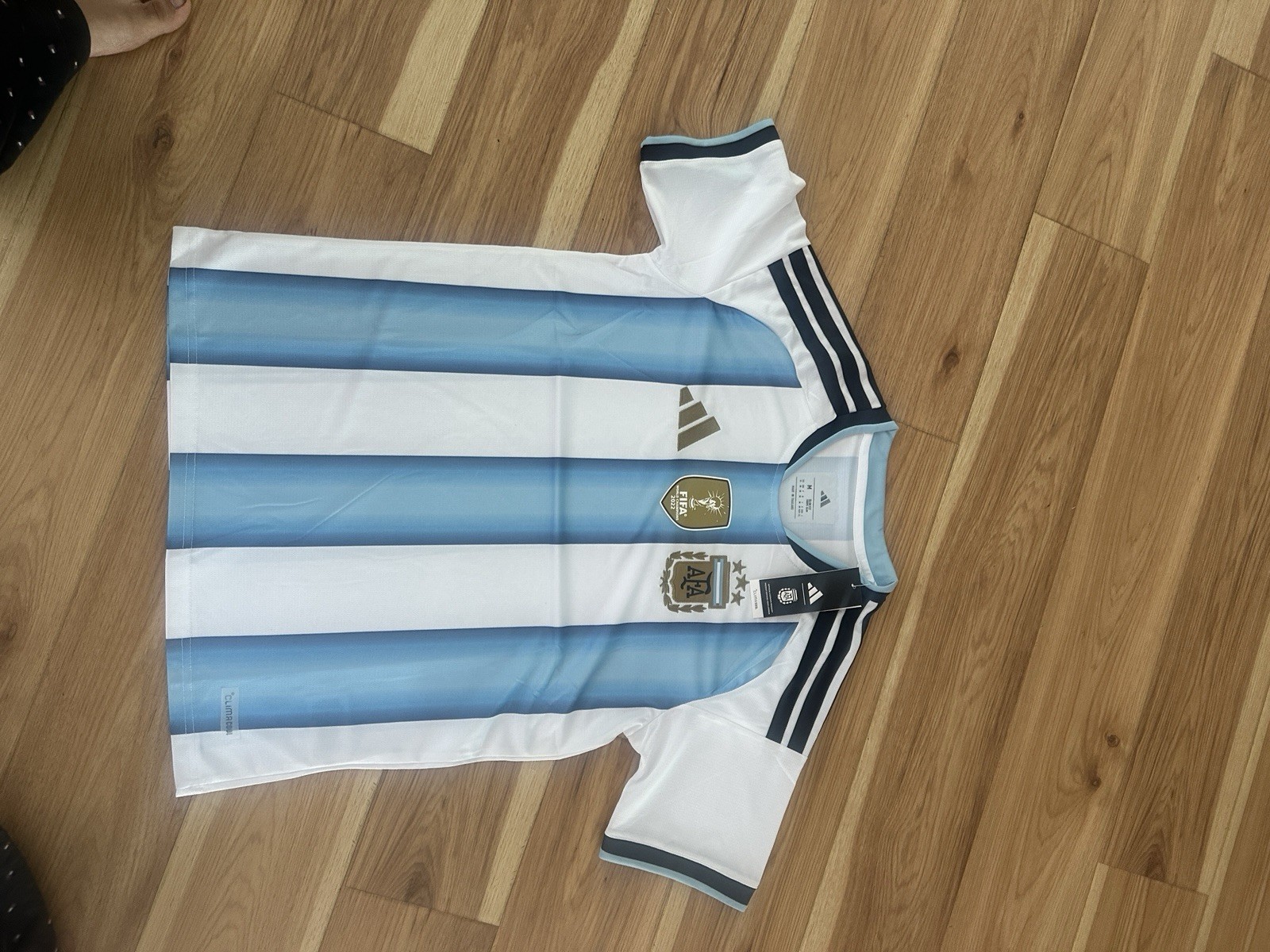 World Cup 2022 Argentina Jersey Fan Version Size Medium
