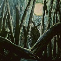 Harrow - Fallow Fields - Cd - F72Z