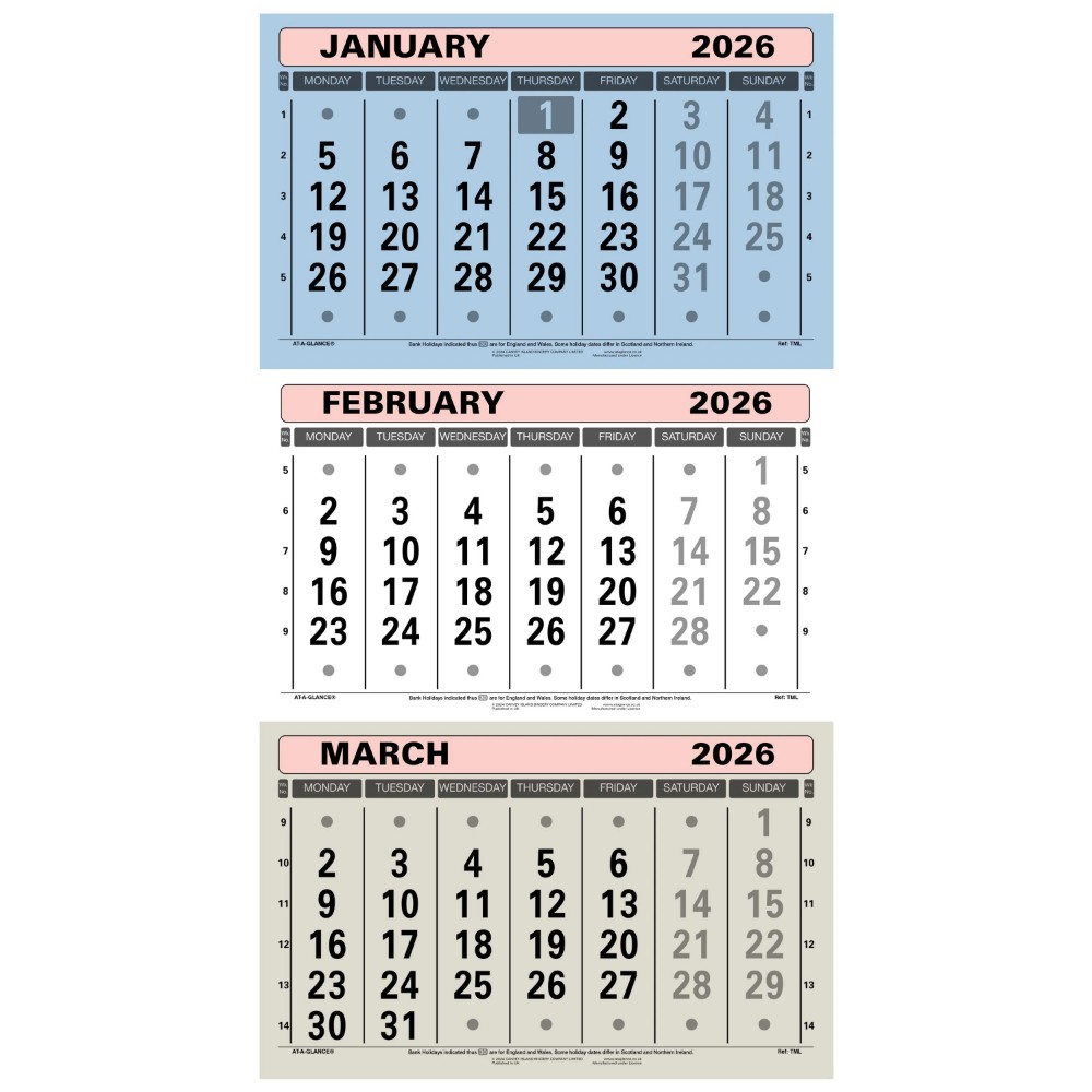 Dataday TML 2026 Three Months to View Wall Calendar Hanging Planner