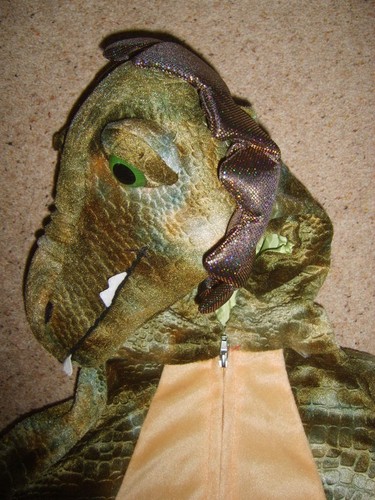 Child Boys Dragon Fancy Dress Costume Dinosaur Fairy Tale Animal Large 130-140cm - Picture 4 of 11