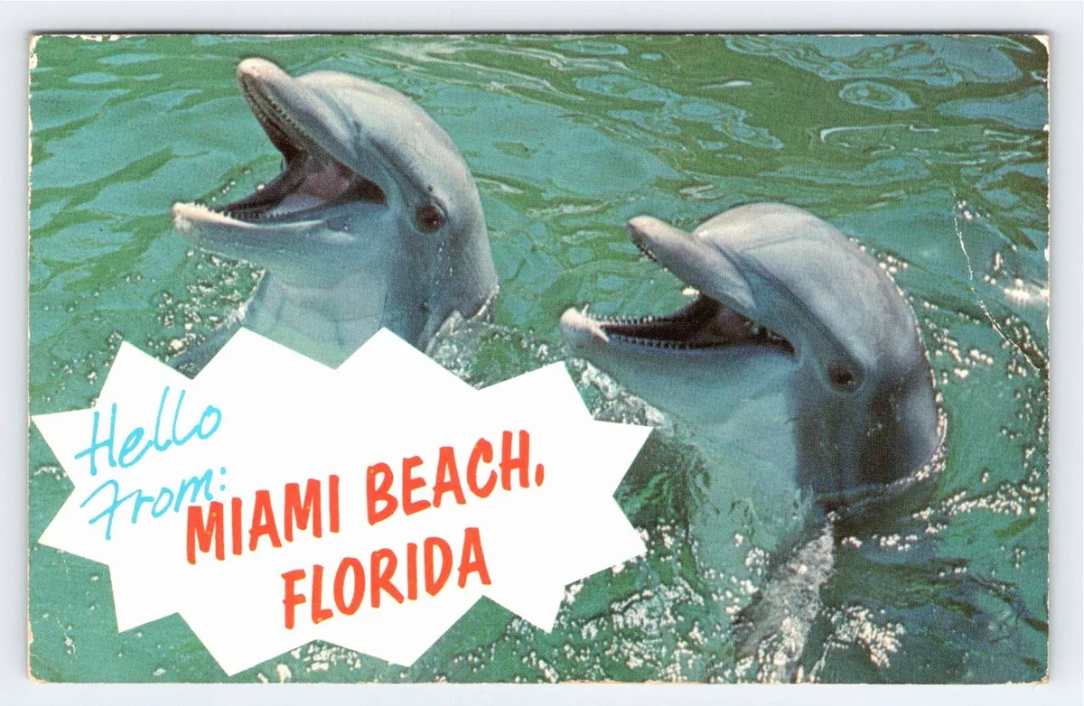 Postcard - Hello from Miami Beach, Florida