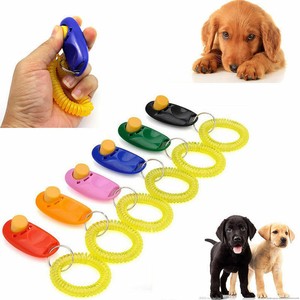 a dog man's best friend