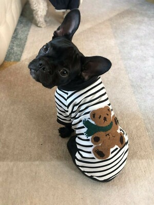 High Quality Cute Teddy Bear Stripe Dog & Cat Pet Clothes Cotton T-shirt Apparel