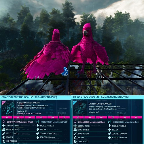 Ark Survival Ascended Pve Argentavis / Argy Max Level 362 - Picture 20 of 29