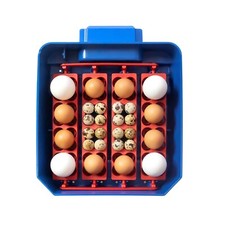 Borotto LUMIA 16 Automatic Egg Incubator (Poultry, Duck, Goose, Chicken, Quail)
