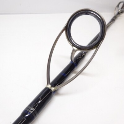 Daiwa 11 SALTIGA Coastal Hiramasa 63HS-F | eBay