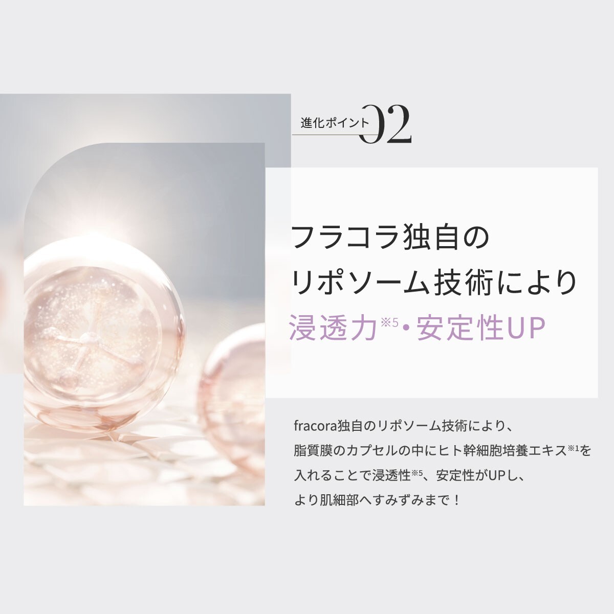 美容液 fracora Stem Cells extract 30ml Fracora human stem cell culture extract solution 30ml 30