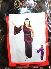 One Sleeved Roman Goddess Halloween Costume Woman's Adult Size Small