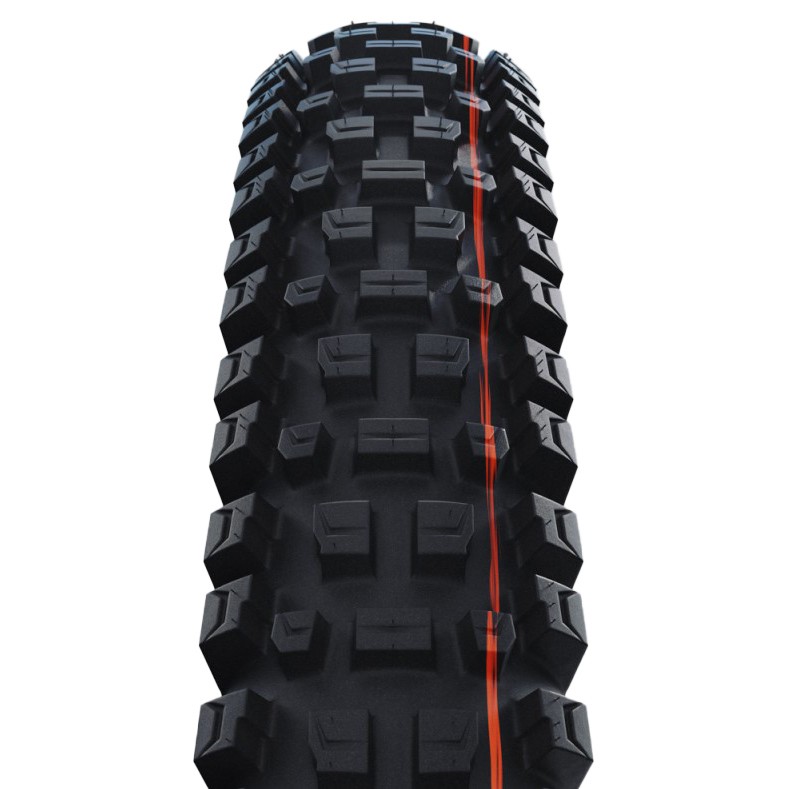 Schwalbe Albert Trail Pro Mountain Tire 29in 2.50 Black Tubeless Ready