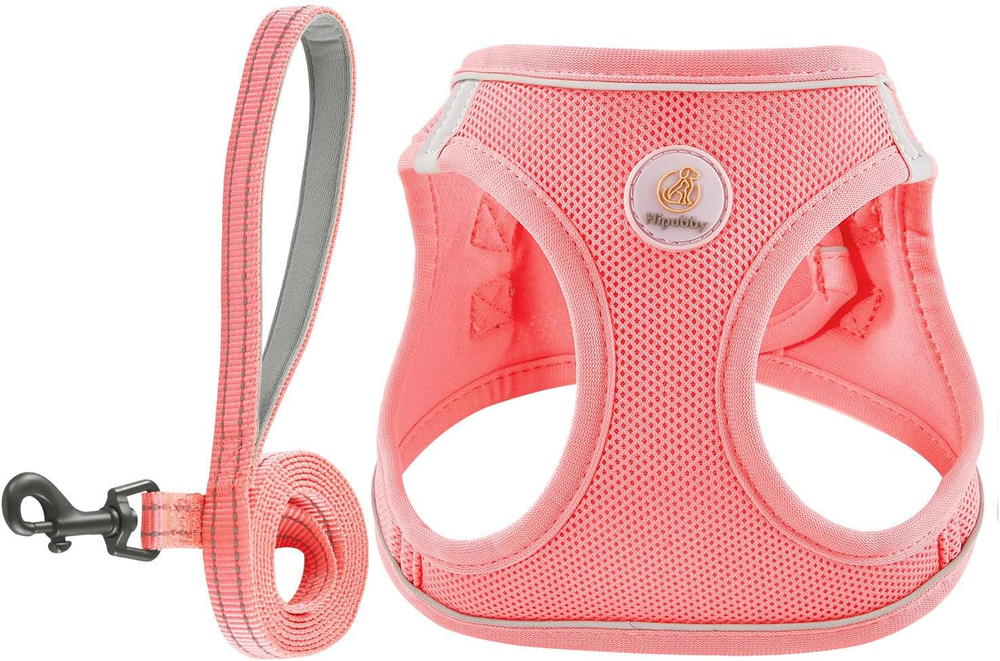 Dog Harness and Leash Set, No Pull Soft Mesh Puppy Harness for Small Medium Dogs