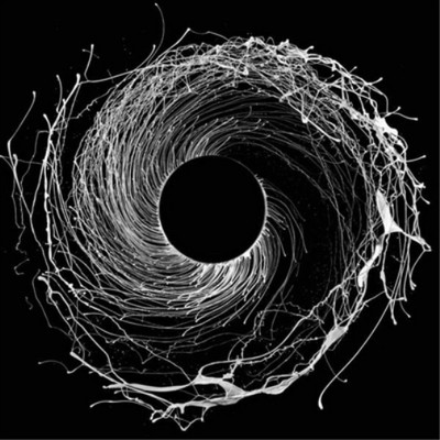 Dawn of Midi Dysnomia (Vinyl) 12'' Album (Limited Edition)