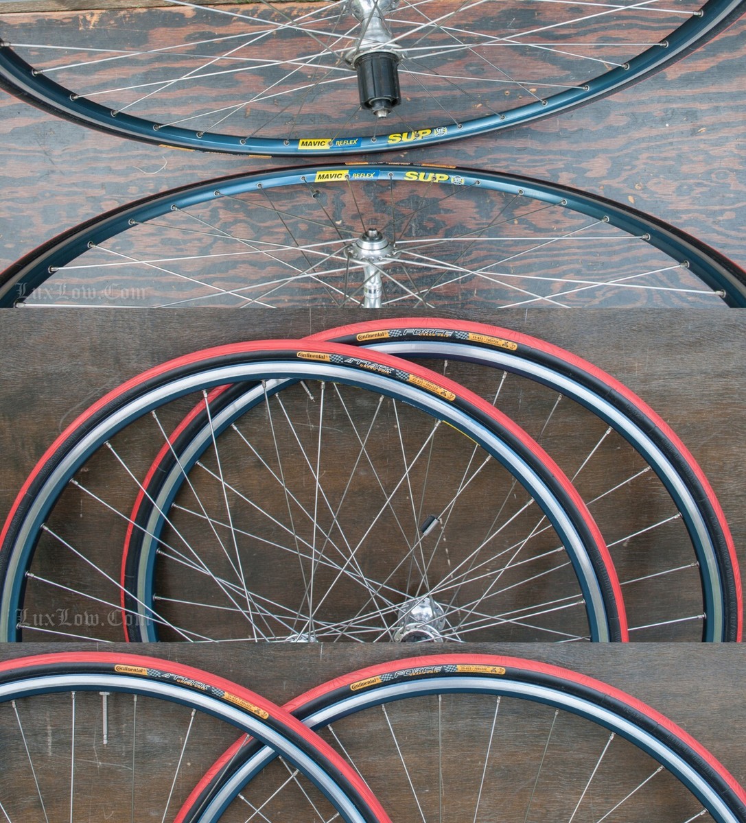 CAMPAGNOLO RECORD×MAVIC REFLEX シマノフリー CAMPAGNOLO RECORD×MAVIC REFLEX シマノフリー