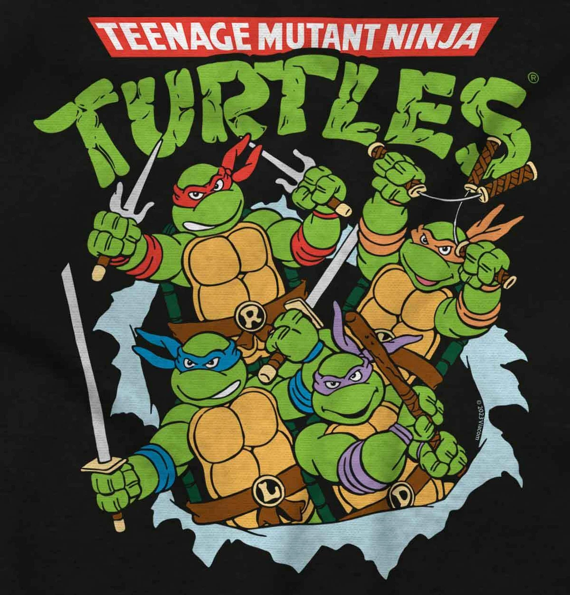 toddler girl ninja turtle shirt