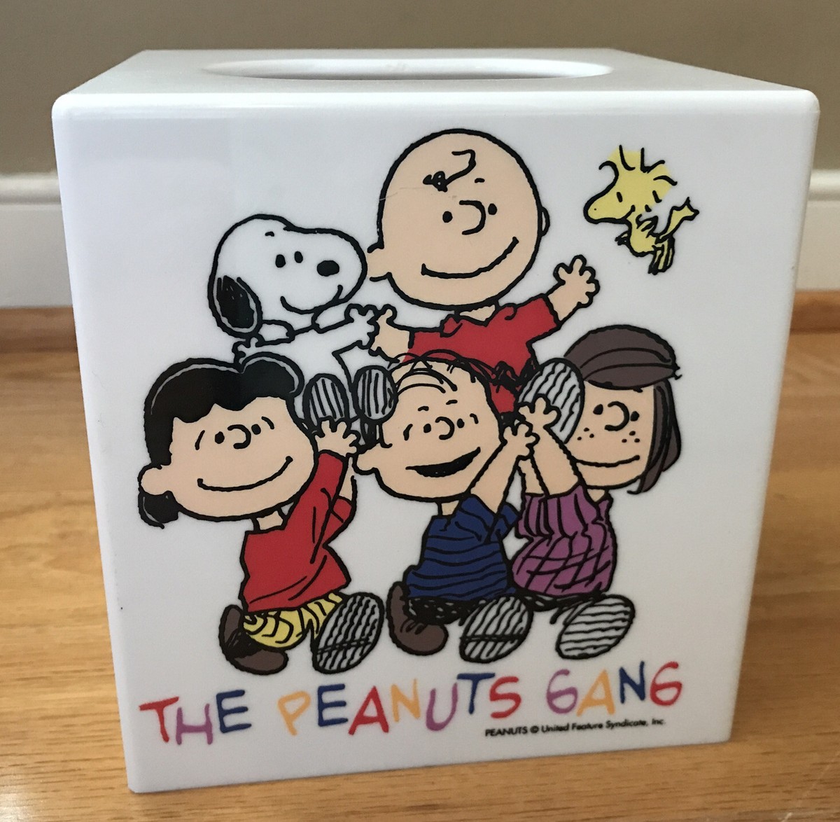 タペストリー PEANUTS CHARACTORS HANGING STORAGE Vtg Peanuts Hanging Organizer Snoopy Lucy Charlie Brown | eBay