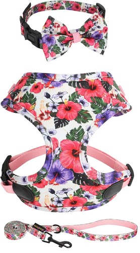 NUEVO Arnés Floral para Perros, Correa y Collar con Conjunto de Lazo Talla M Nylon Rosa Morado Flores - Imagen 2 de 5