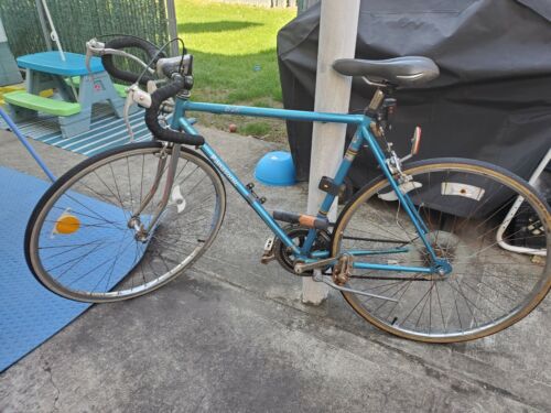 Vintage Panasonic Sport bicycle