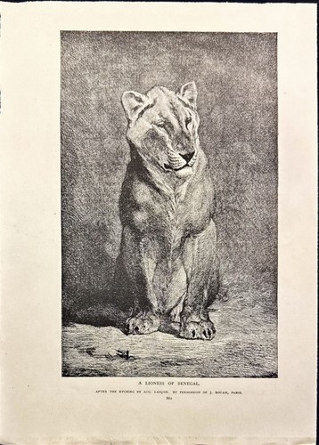 The Mischievous Knix Langdon E. Mitchell Antique Magazine Article 1888 - Picture 9 of 13