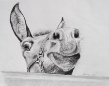 Original Graphite Drawing "Howdy Neighbor"