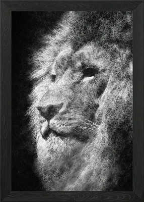 Löwengesicht Nahaufnahme Mähne Fine Art Gerahmtes Wandbild Poster Leinwanddruck Bild