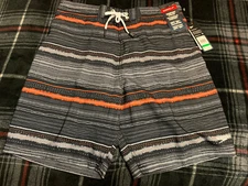 Speedo Mens Border Line Striped Performance 20" Board Shorts Men’s Large NWT