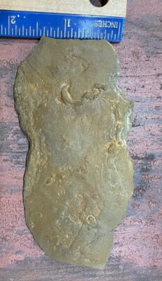 Authentic Native American Artifact Limestone Scraper Knife Blade Effigy Adze 
