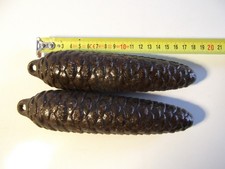 2 poids en fonte de 1,250 kg ( chaque ) marquage SCH pour coucou forêt noire