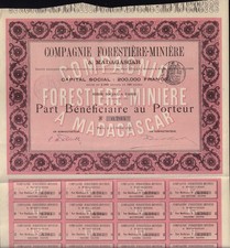 AFRICA  MADAGASCAR   Comp Forestiere Miniere Forstry Mining iss in France 1898