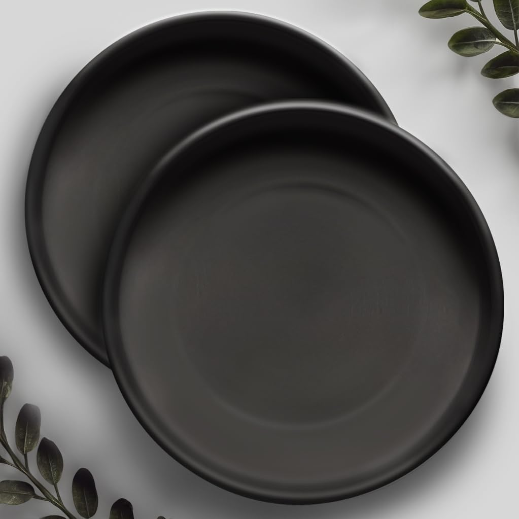 9 Inch Black Ceramic Plant Saucer (2 Pack) - Plant Drip Trays for 6-8 Inch Plant