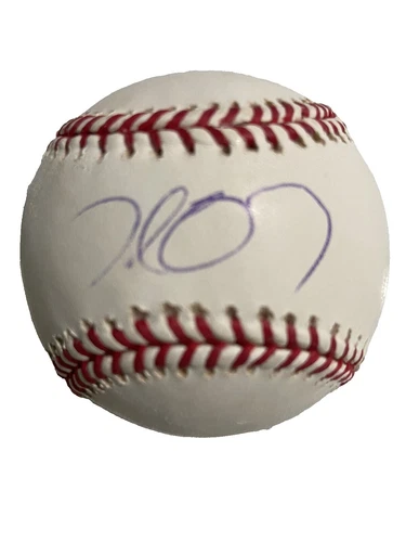 Delmon Young MLB Original Autographed Items