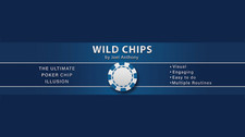 Wild Chips by Joel Anthony