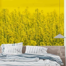 3D Yellow Flower Plant Close-up Wall Murals Wallpaper Murals Wall Sticker