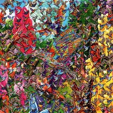 Psychedelic HUMMINGBIRDS BLOTTER ART perforated sheet psychedelic art