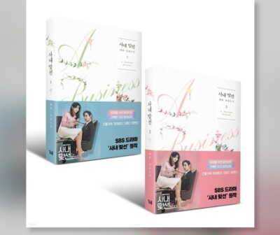 Korean Drama Business Proposal Original Novel Book 1, 2 SET Haehwa