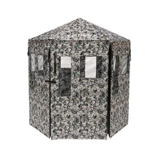 Hawk Hunting Down & Out Warrior Blind in Chaos